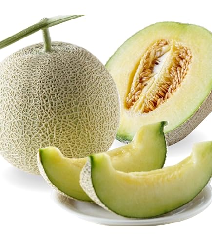 Amazon.co.jp: 国華園 メロン 8kg ゆうかメロン 青森産 感動の甘さ